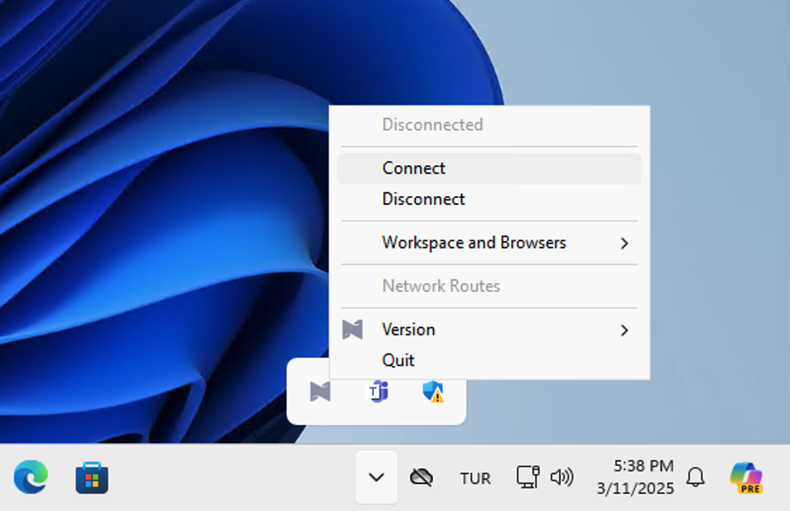 login-to-netzilo