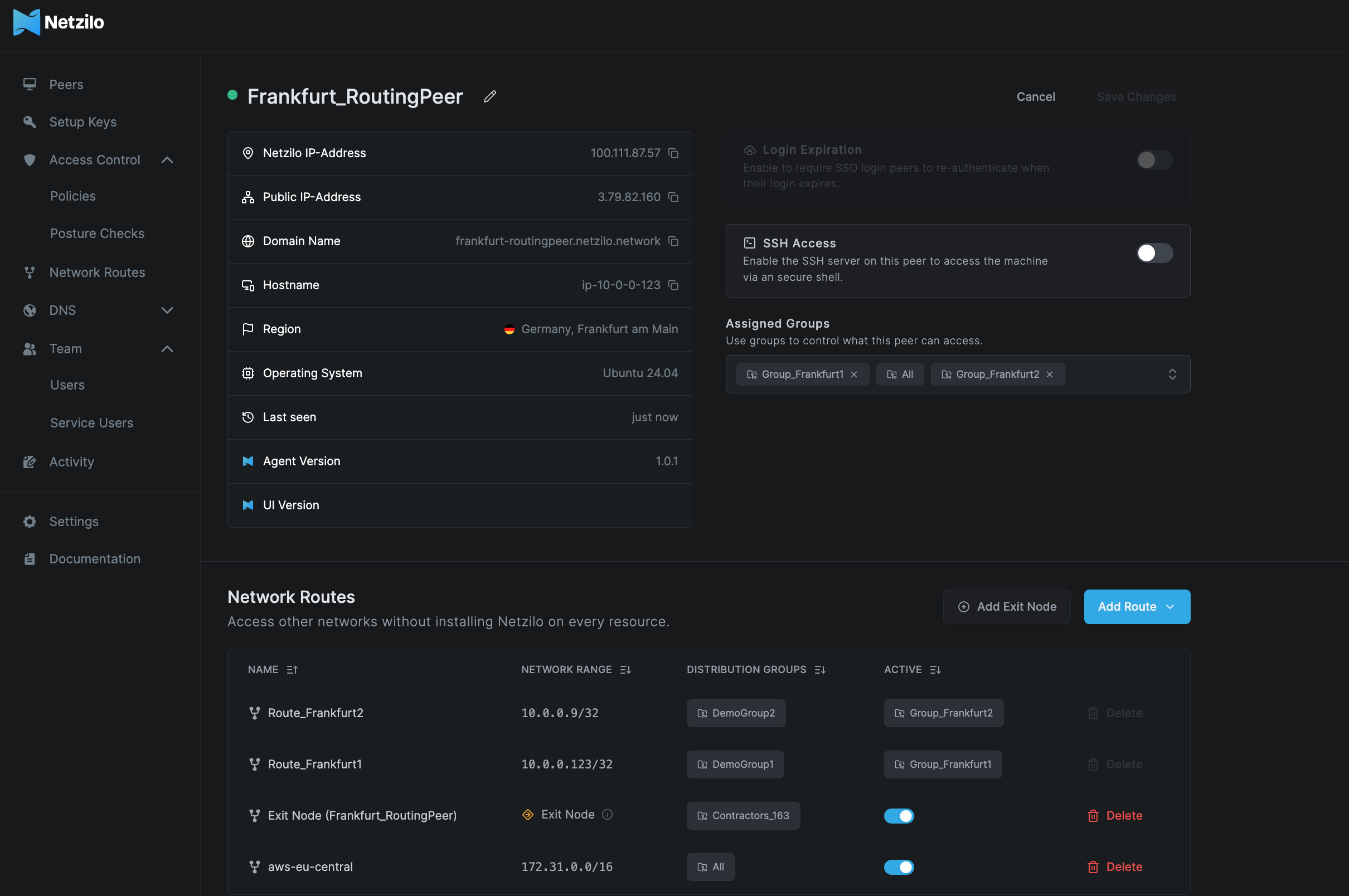 routing-peer-exit-node-view