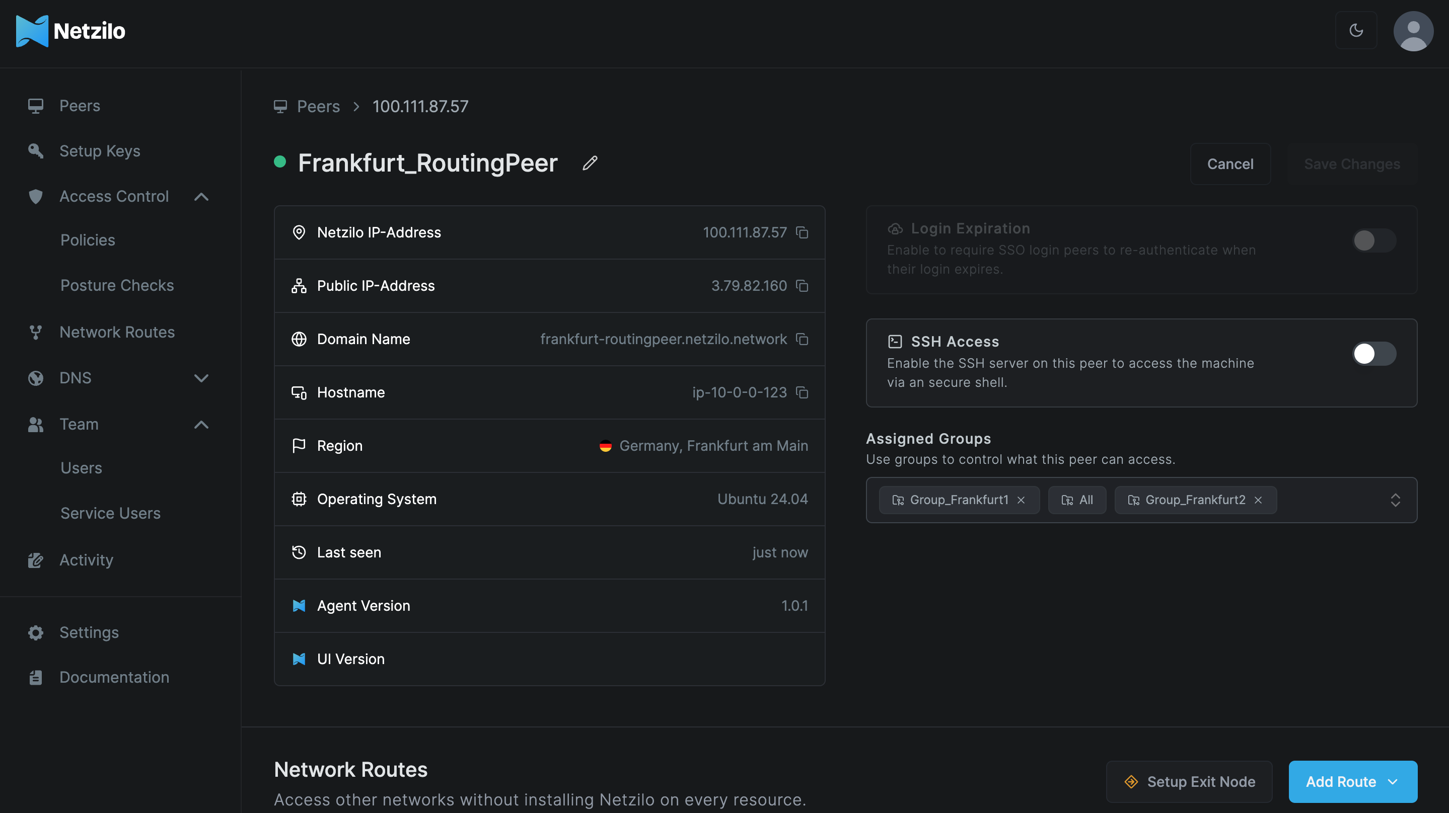 routing-peer-view